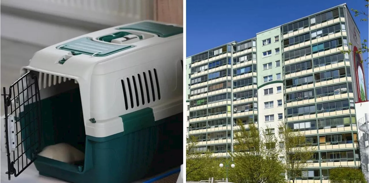 Mutter soll Kind in Berlin wie M&uuml;ll aus dem Fenster geworfen haben - Sicherungsverfahren beantragt