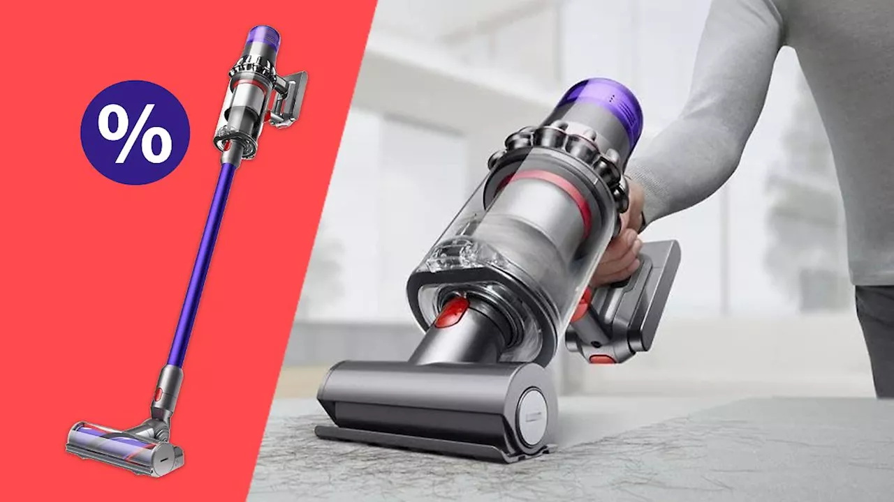 Sauberes Angebot?: 250 Euro sparen: Dyson V11 Animal+ im Refurbished-Deal