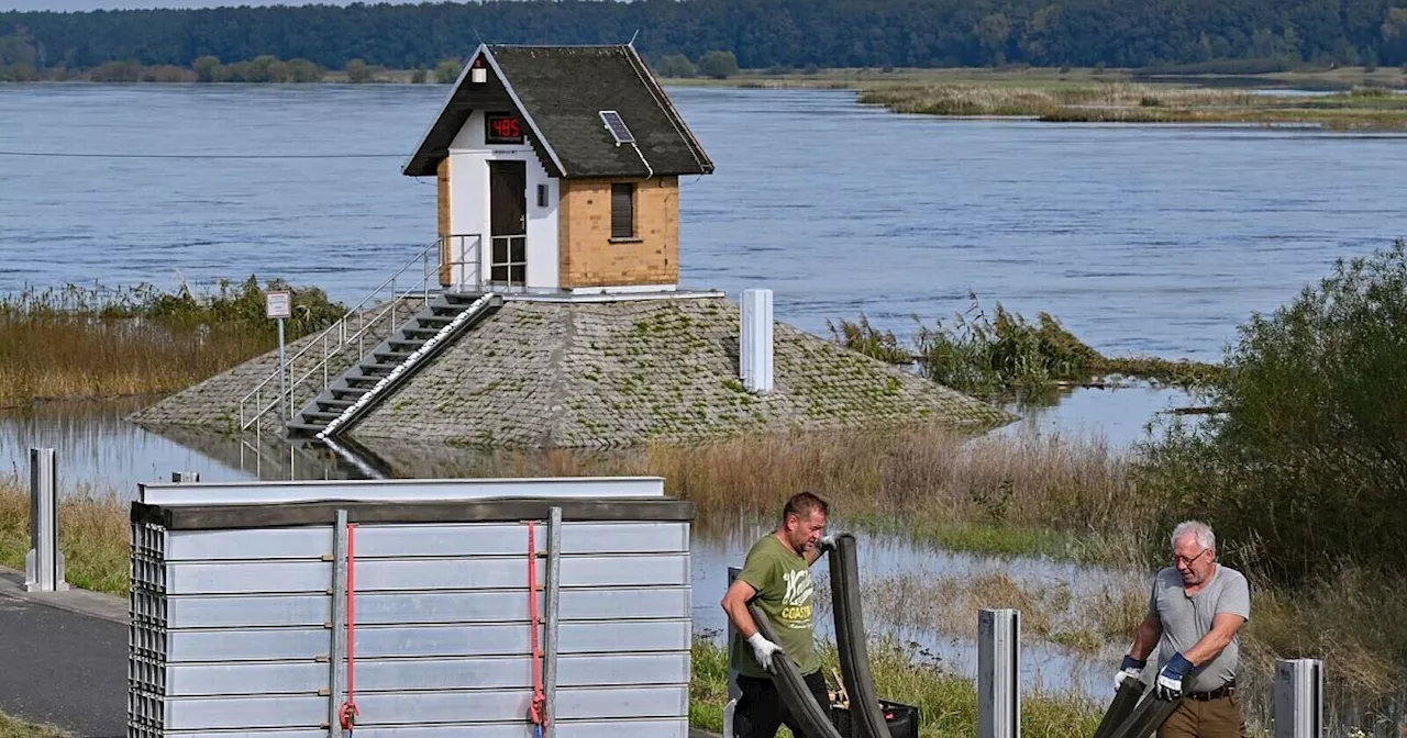 Oder-Hochwasser: Ratzdorf erwartet höchste Alarmstufe