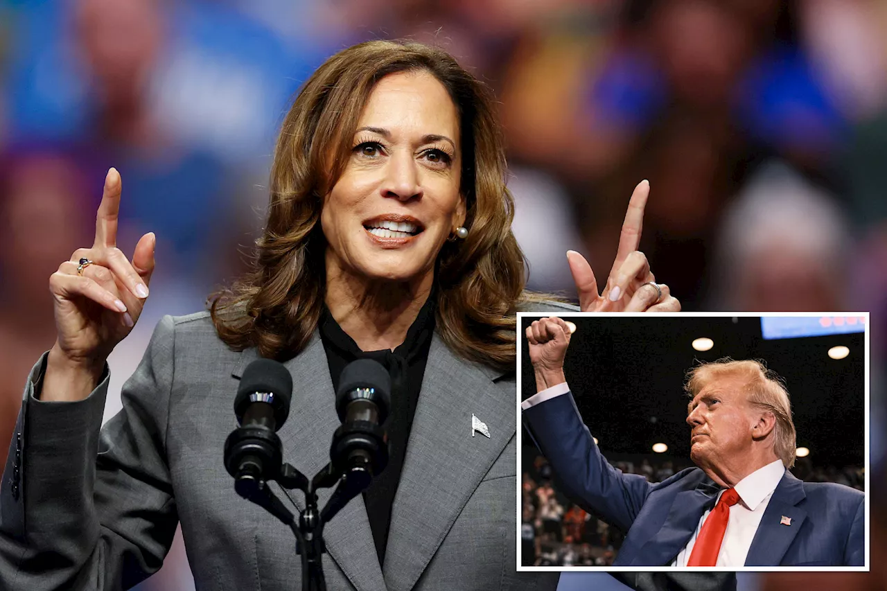 Kamala Harris outspending Donald Trump by $5 million each day: report