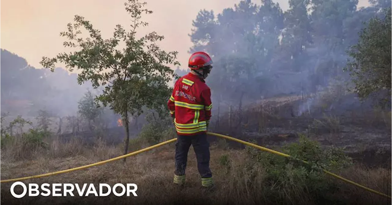 Incêndios. Câmara de Nelas tem equipa multidisciplinar no terreno