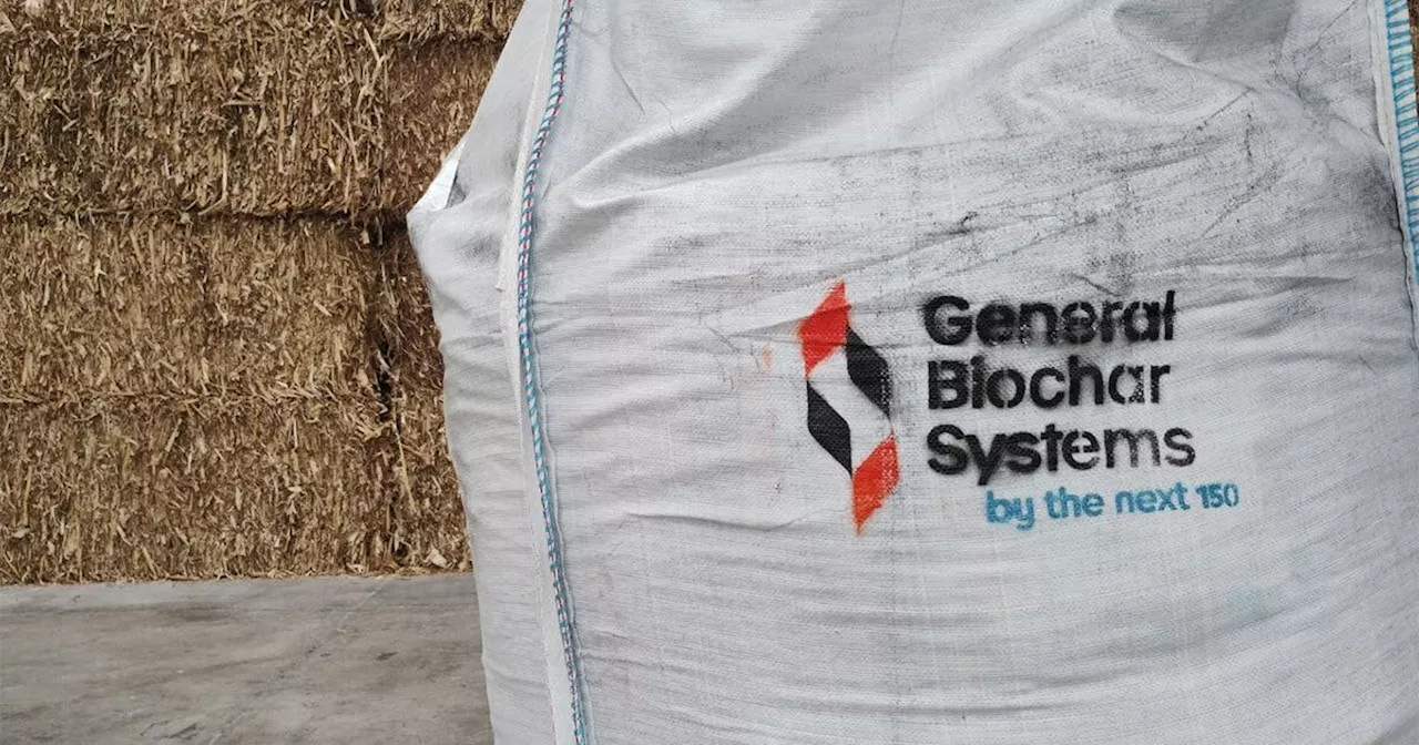 Biochar: la apuesta ecológica de Irapuato para transformar residuos y cuidar el medio ambiente