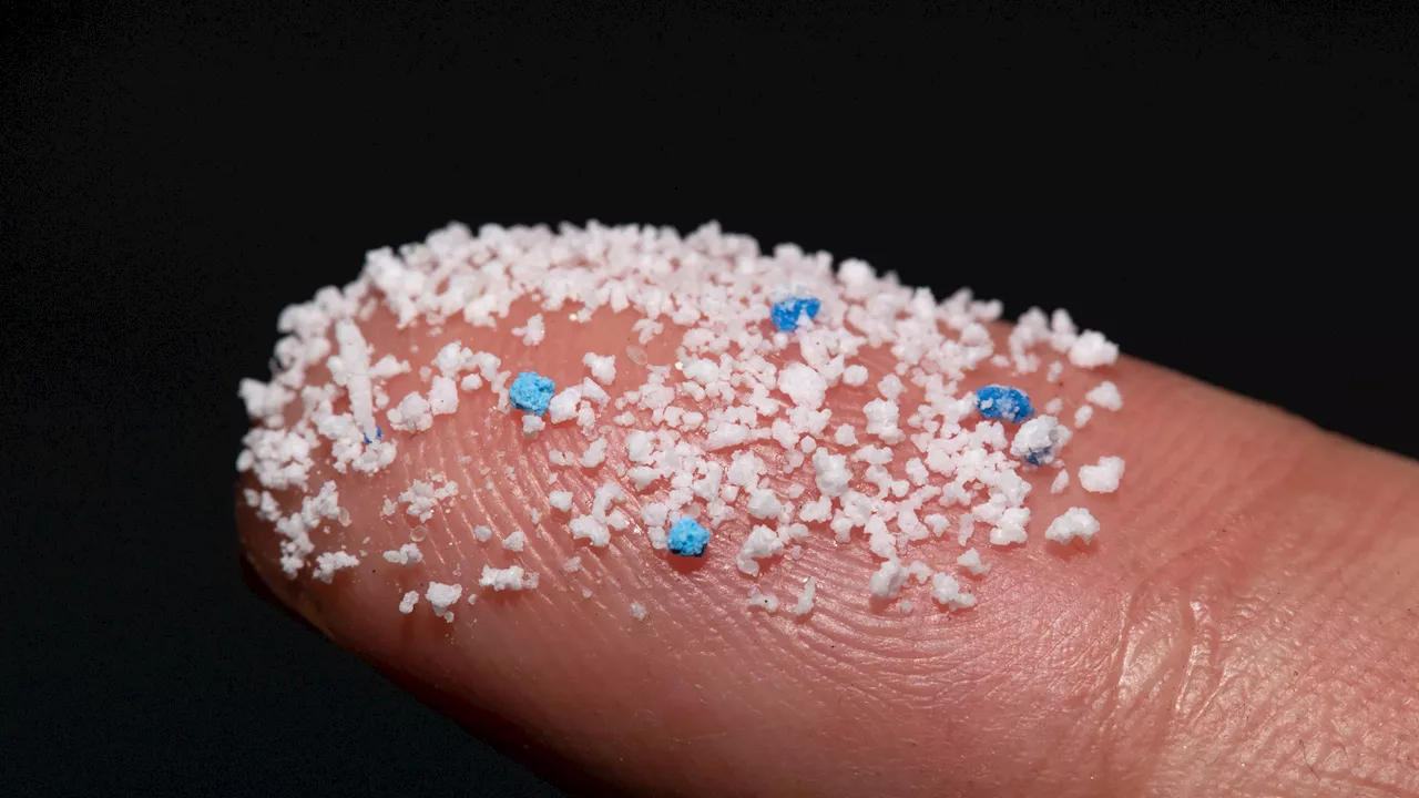 What scientists have learned from 20 years of microplastics research