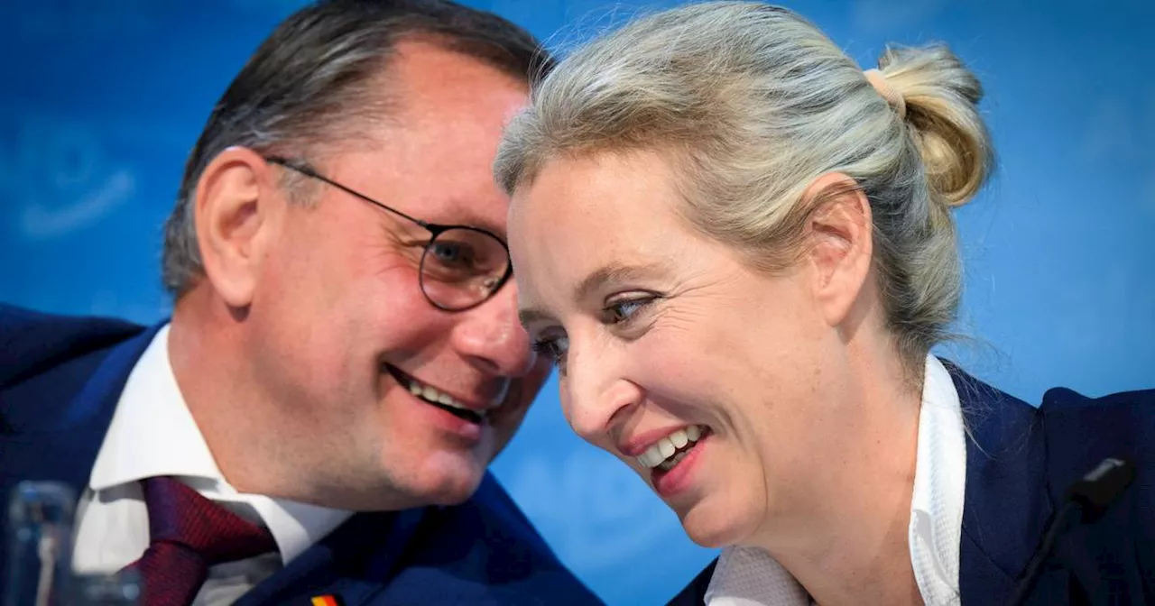 LTW Brandenburg 2024: AfD-Erfolg bei Jungwählern, SPD holt Rentner ab
