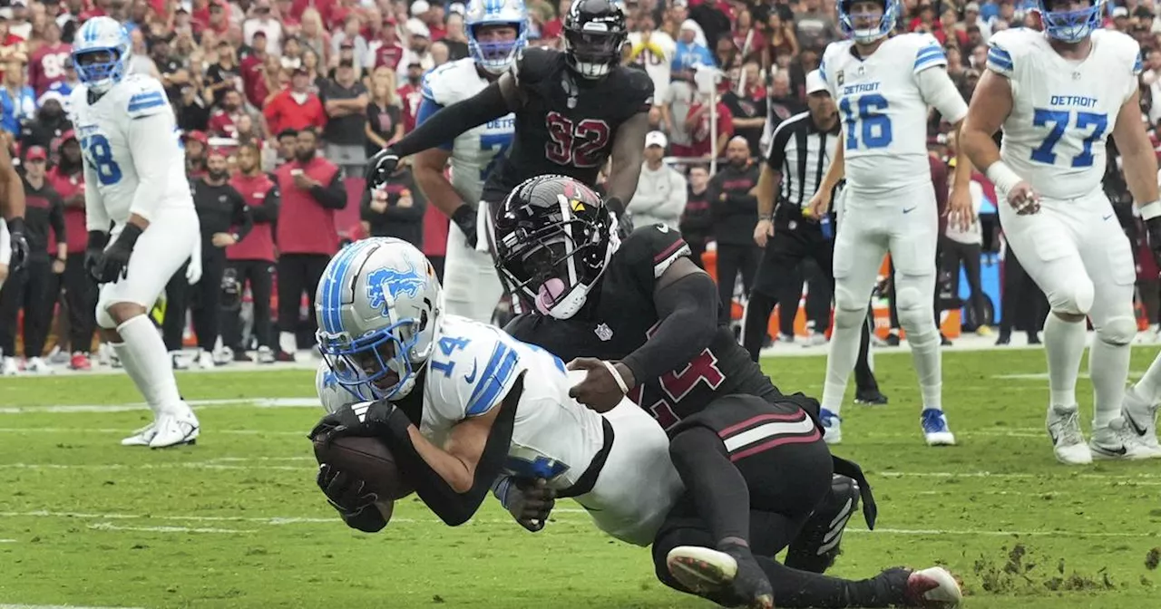 NFL: St. Brown führt Lions mit Touchdown zum Sieg über Cardinals