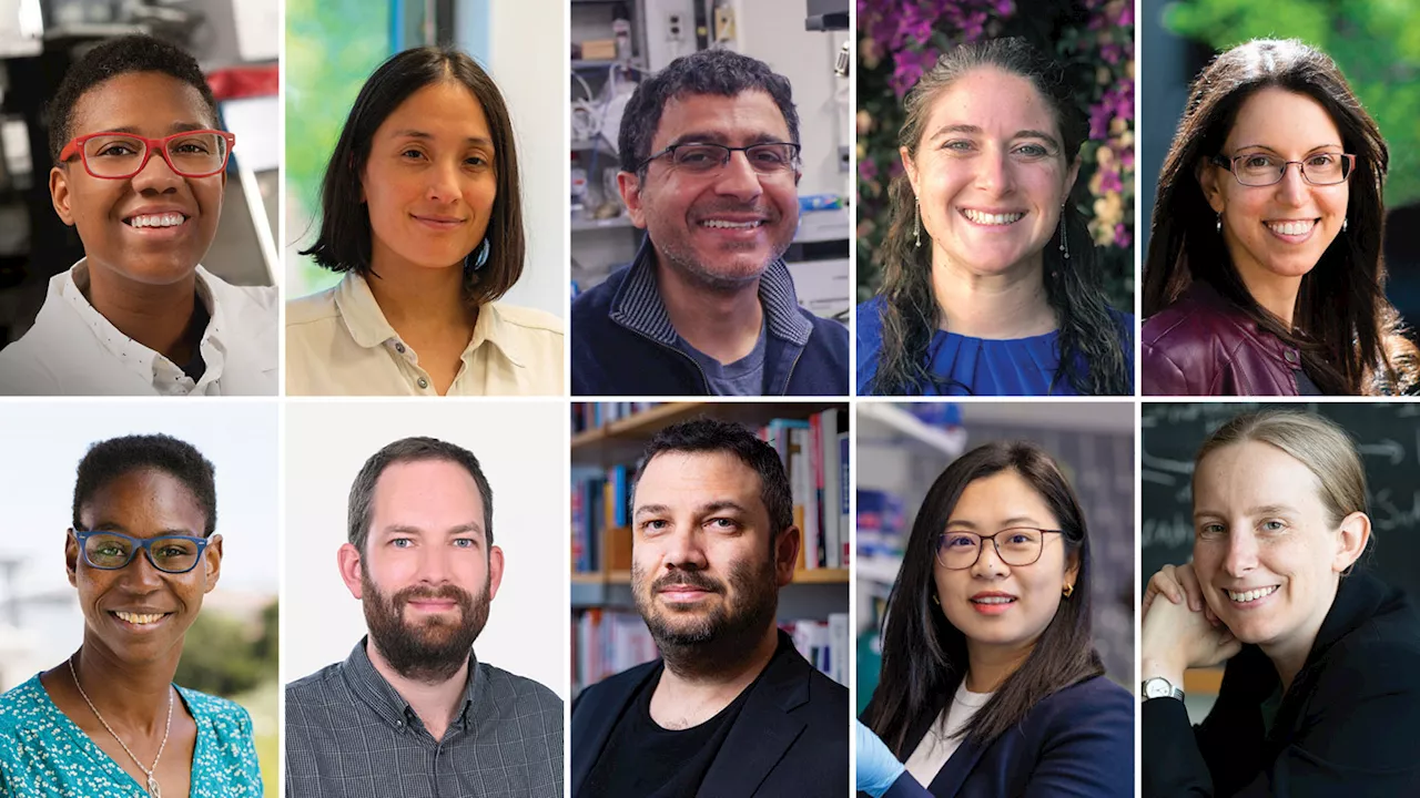 10 early-career scientists tackling some of the biggest problems of today