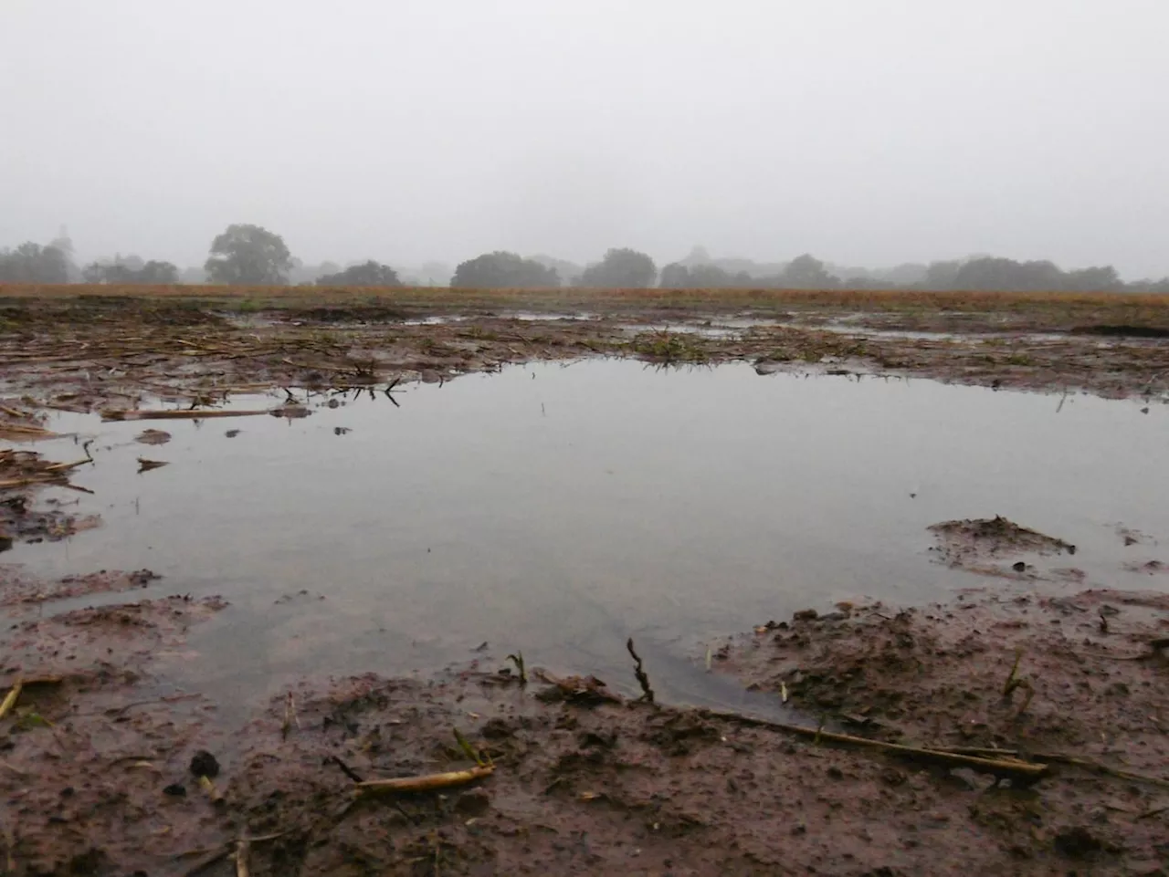 Flood alerts in place in Shropshire as region braces for more rain