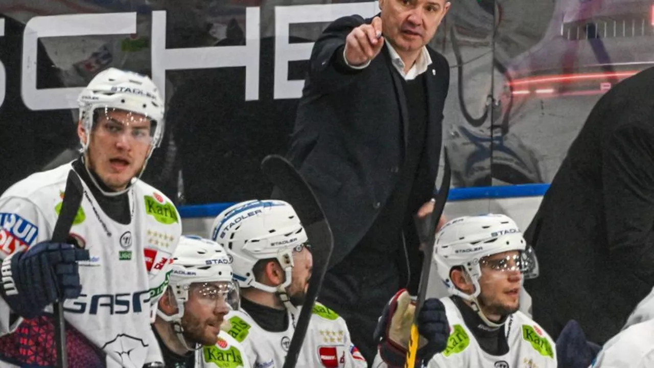 Deutsche Eishockey Liga: Eisbären-Coach lobt guten Auftakt - Neuzugänge harmonieren