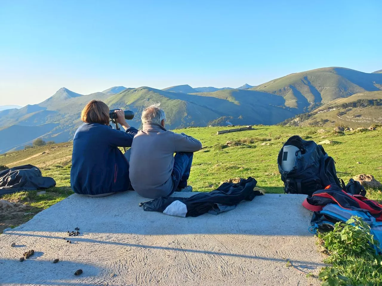 Pays basque : Pour de beaux yeux de biches, le cerf brame à Iraty