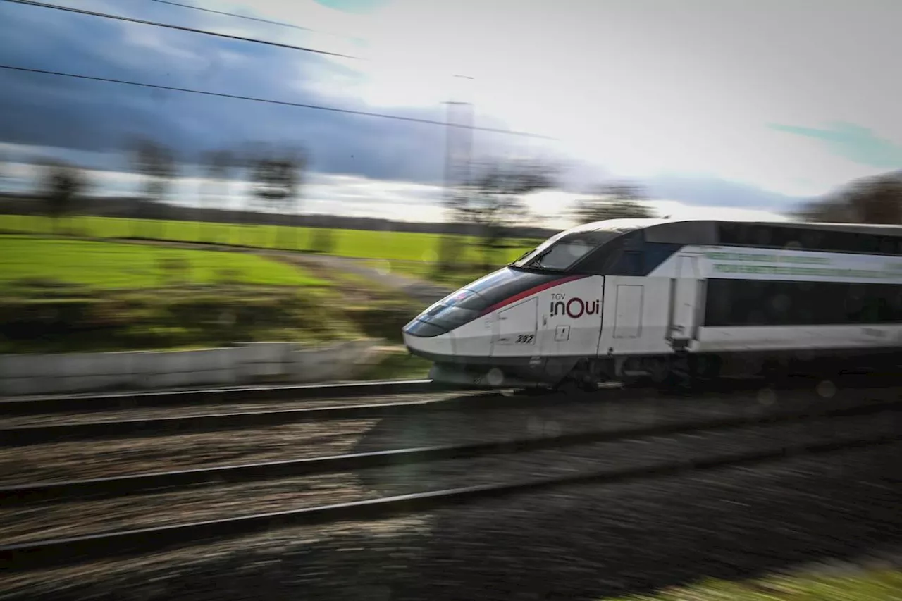 TGV : la circulation des trains entre Paris et le Sud-Ouest fortement perturbée