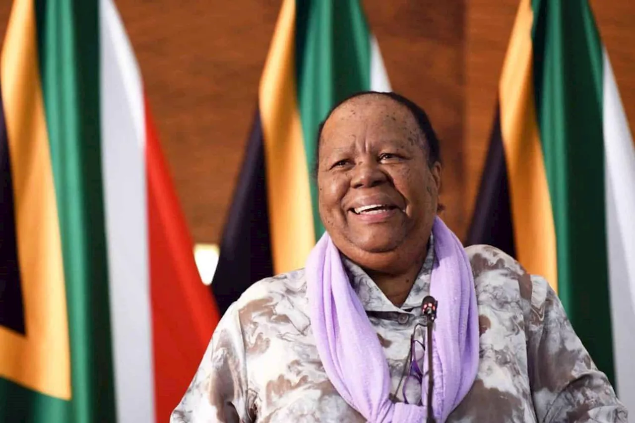 Naledi Pandor appointed as chairperson of Nelson Mandela Foundation