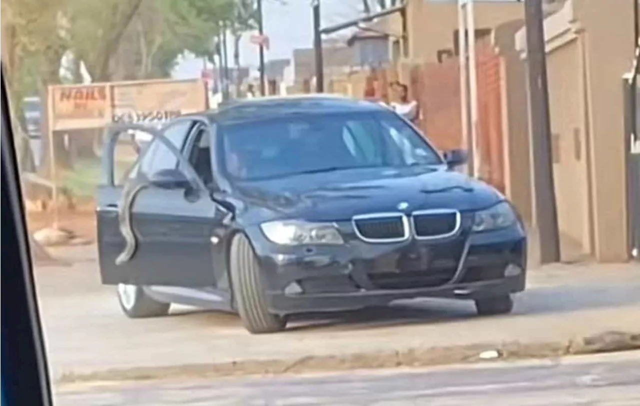 Snake season in Soweto? Slithery passenger just one of BMW driver’s many pet snakes [VIDEO]