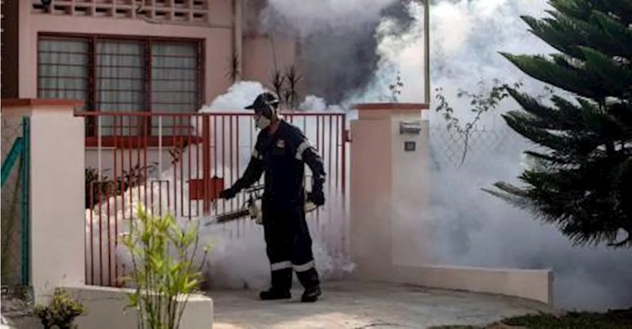 Dengue cases decrease during ME37, no deaths reported