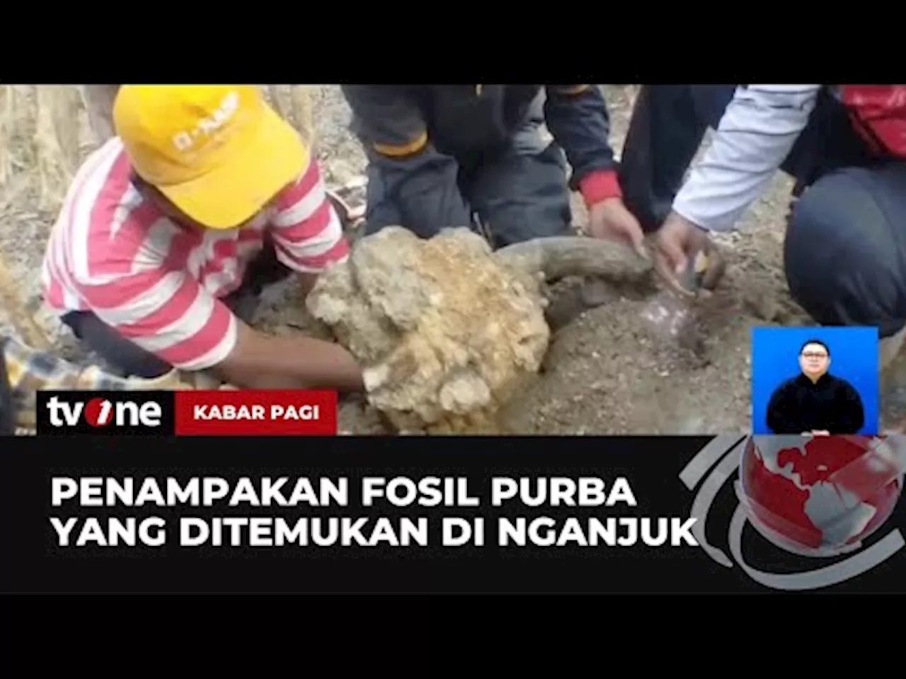 Tim Arkeolog Temukan Puluhan Fosil Hewan Purba yang Diperkirakan Berusia Ratusan Tahun di Nganjuk