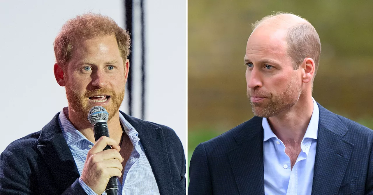 Prince Harry Got Confused for Brother Prince William at Fundraiser