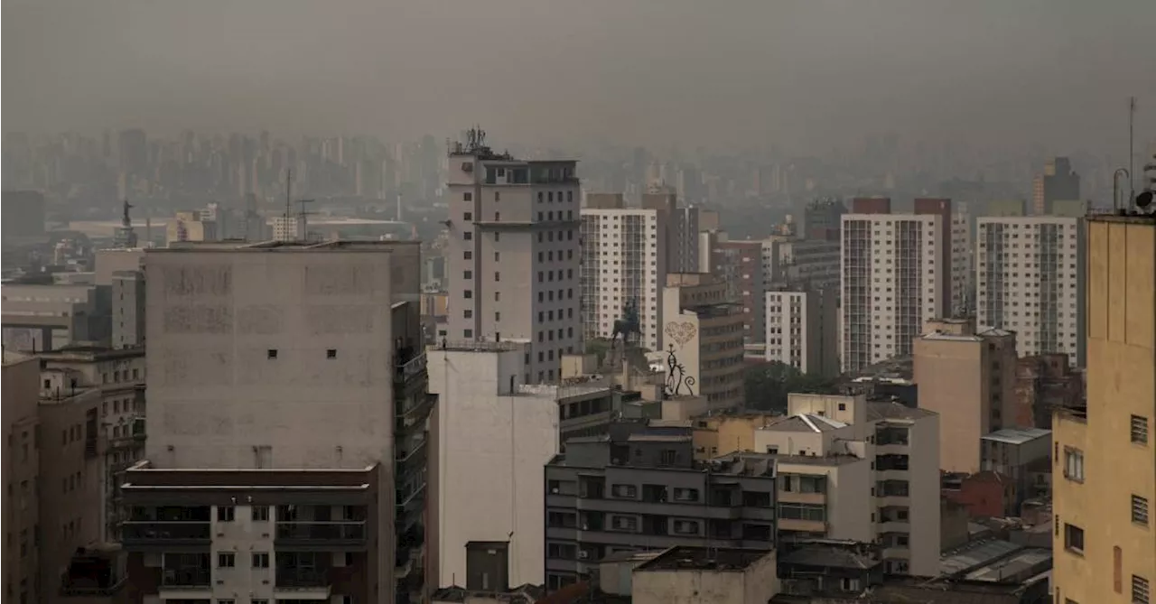 MP pede suspensão do corte de 684 árvores na cidade de SP