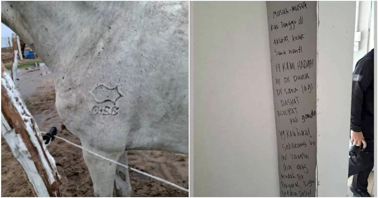 'Enemies, wait for Judgement Day' GISBH Followers Leave Menacing Note for Authorities on Bungalow Wall