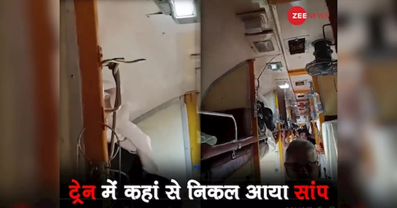 ट्रेन में मजे से सो रहा था यात्री, अचानक सीट पर सांप रेंगता हुआ आया और फिर; Video हुआ वायरल