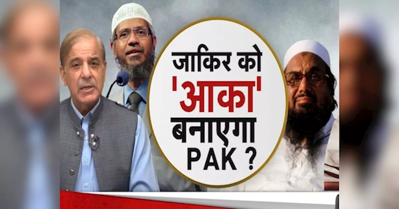 Zakir Naik News: जहरीला जाकिर नाईक अब PAK को देगा कट्टरपंथ का नया ज्ञान! हाफिज सईद और मसूद अजहर का क्या होगा