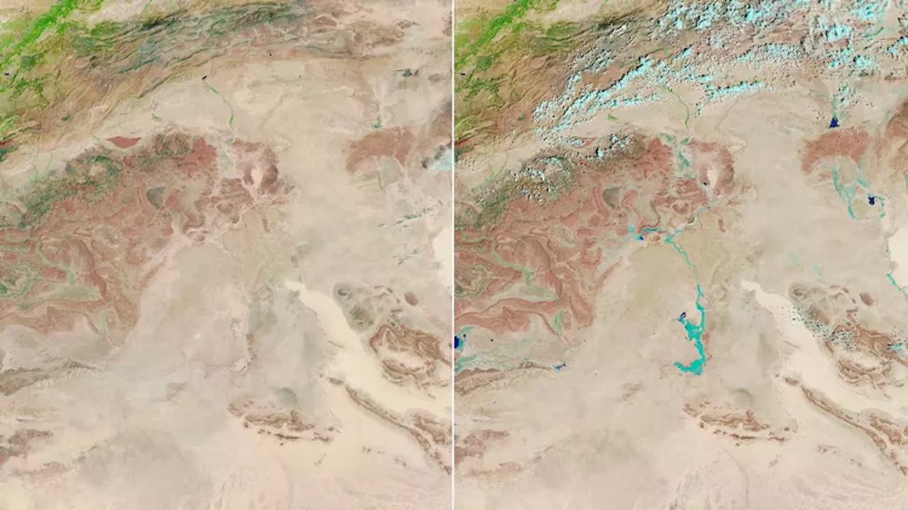 Parts of the Sahara Desert are turning green amid an influx of heavy rainfall