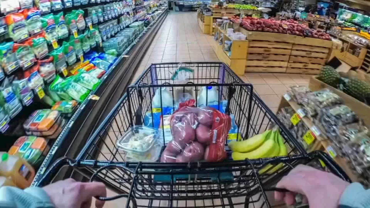 How to save money on groceries with store prices still high even as inflation cools