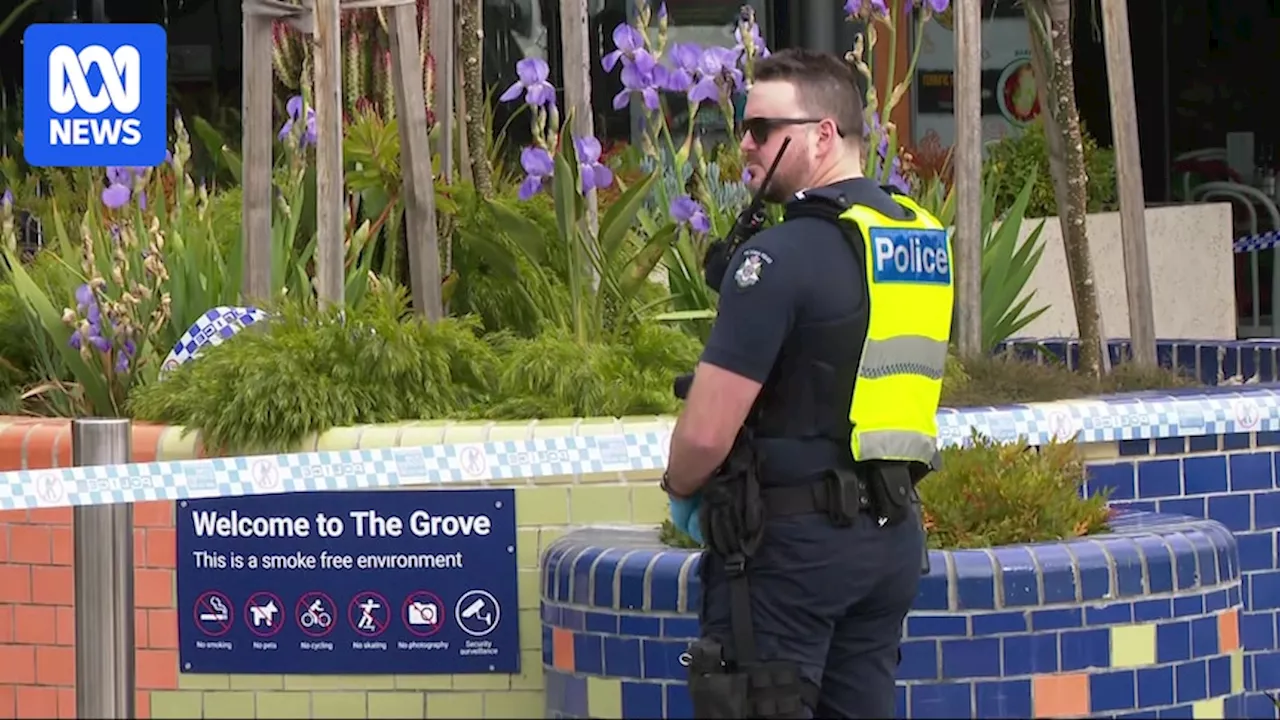 Boy, 16, fatally stabbed at shopping centre in Melbourne's west