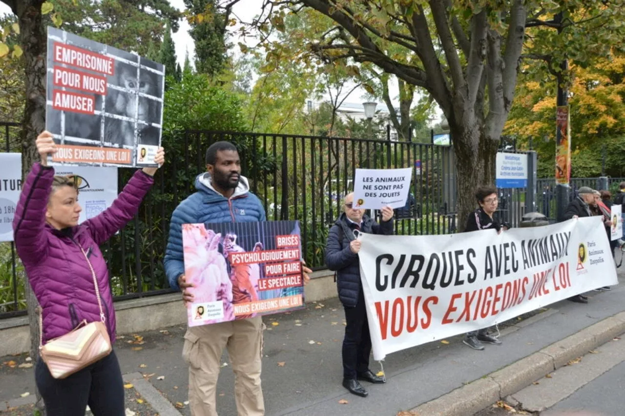 Dans le Val-d'Oise, un cirque dans le collimateur : 'Les animaux sont emprisonnés à vie'