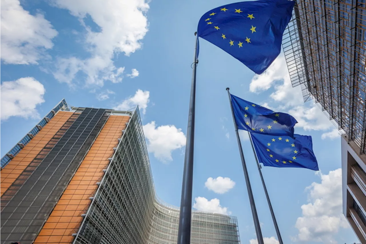 Ispezioni dell'Ue su società di servizi finanziari in due Stati