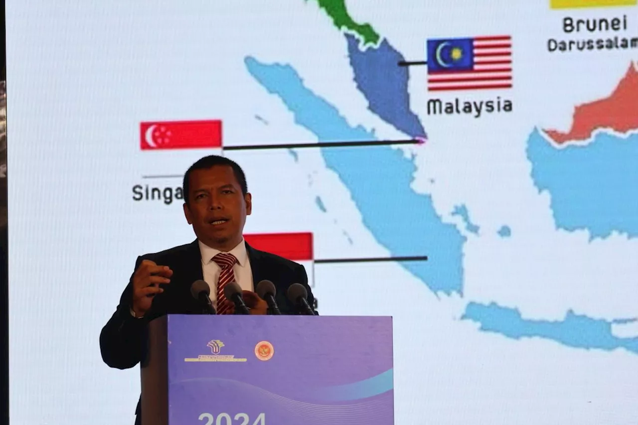 BKPM ajak pengusaha China berinvestasi di luar Pulau Jawa