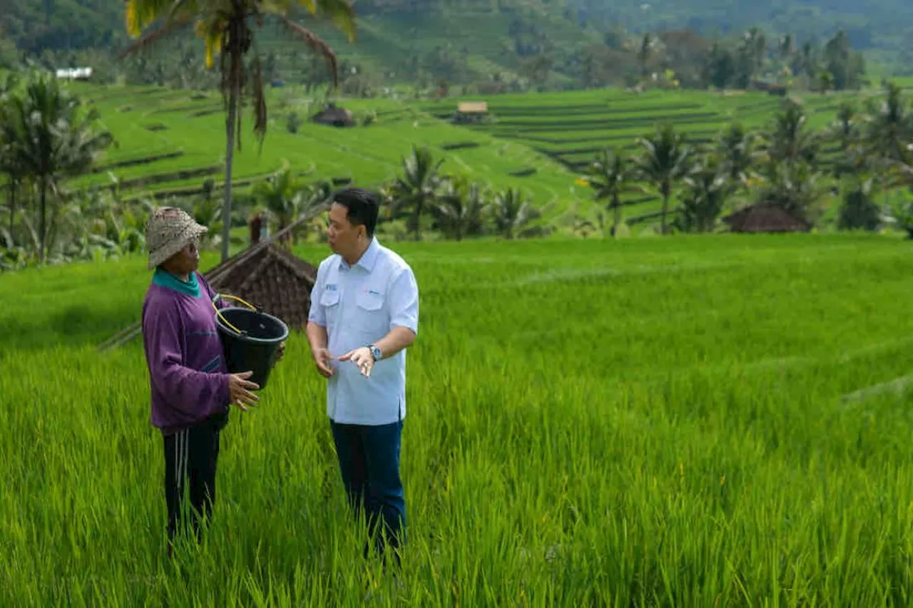 Pupuk Kaltim turun langsung beri pendampingan intensif kepada petani