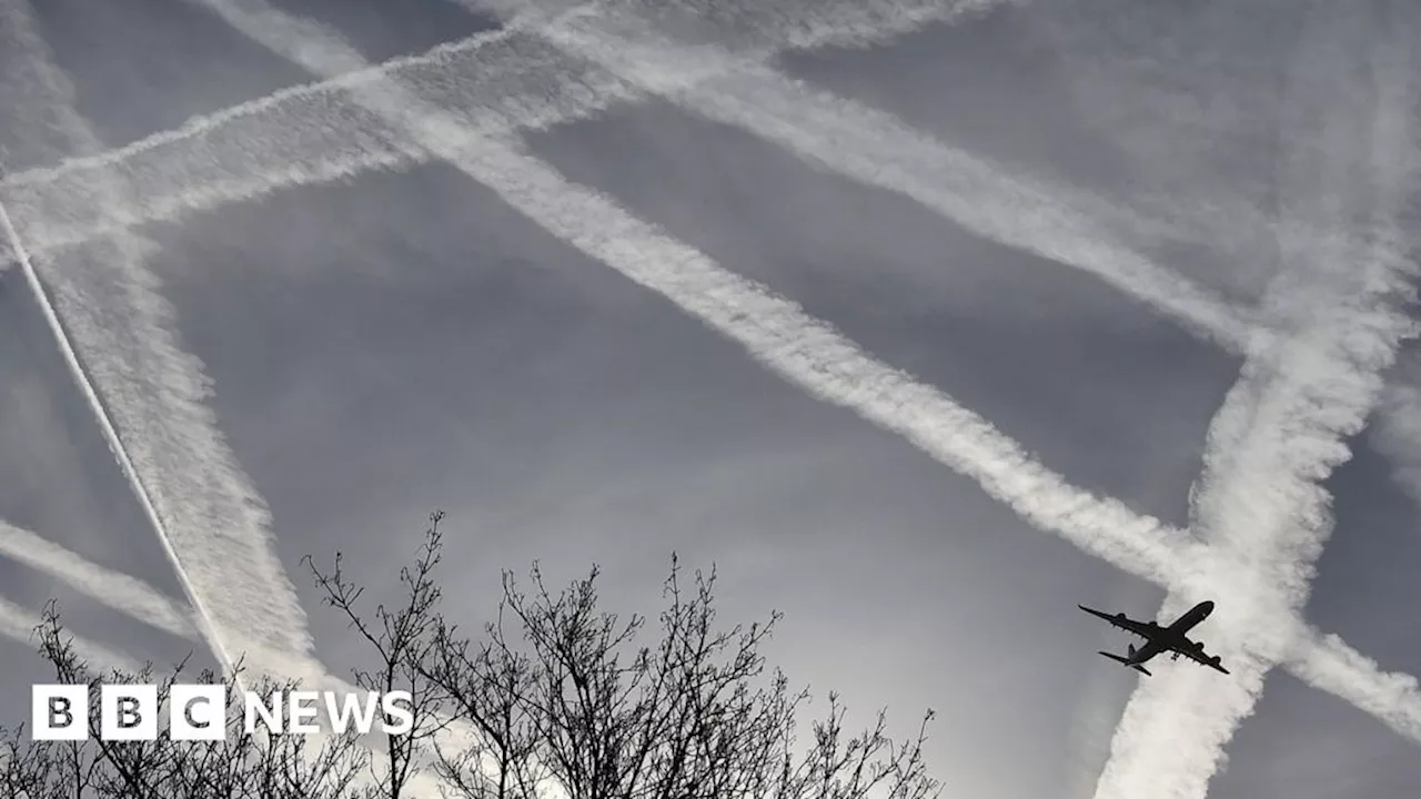 Reducing plane clouds can help climate, says Cambridge University