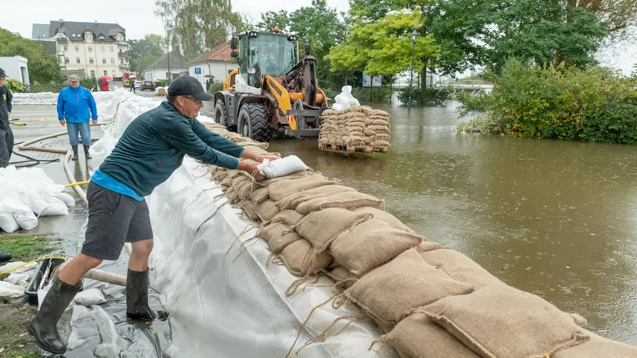 Oder-Hochwasser: 1500 Sandsäcke pro Stunde gegen die Flut