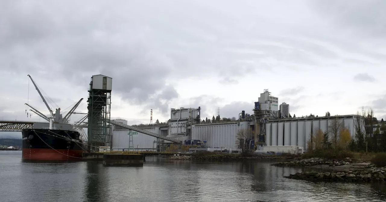 Grain Workers Strike at Canada's Biggest Port