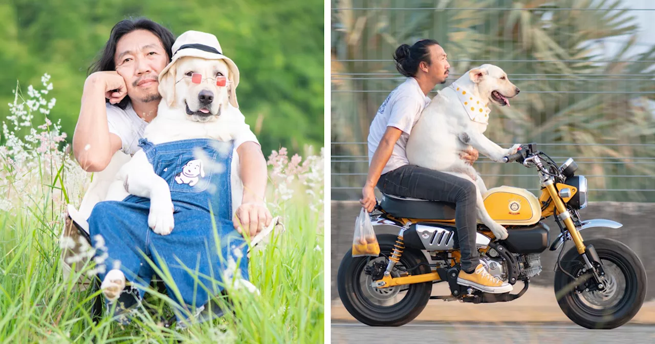 Man Shares Hilariously Cute Photos Of Driving With And Being Driven By His Adorable Dogs