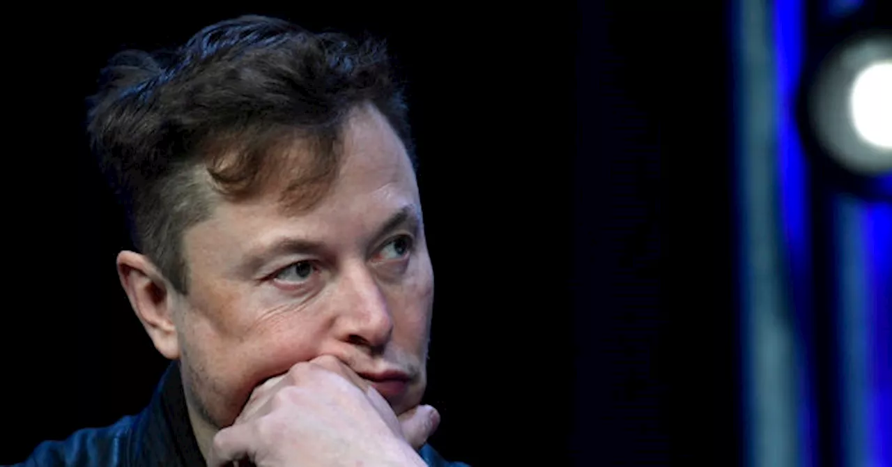 Brazil’s Conservatives Watch Nervously as Elon Musk Caves on X Ban