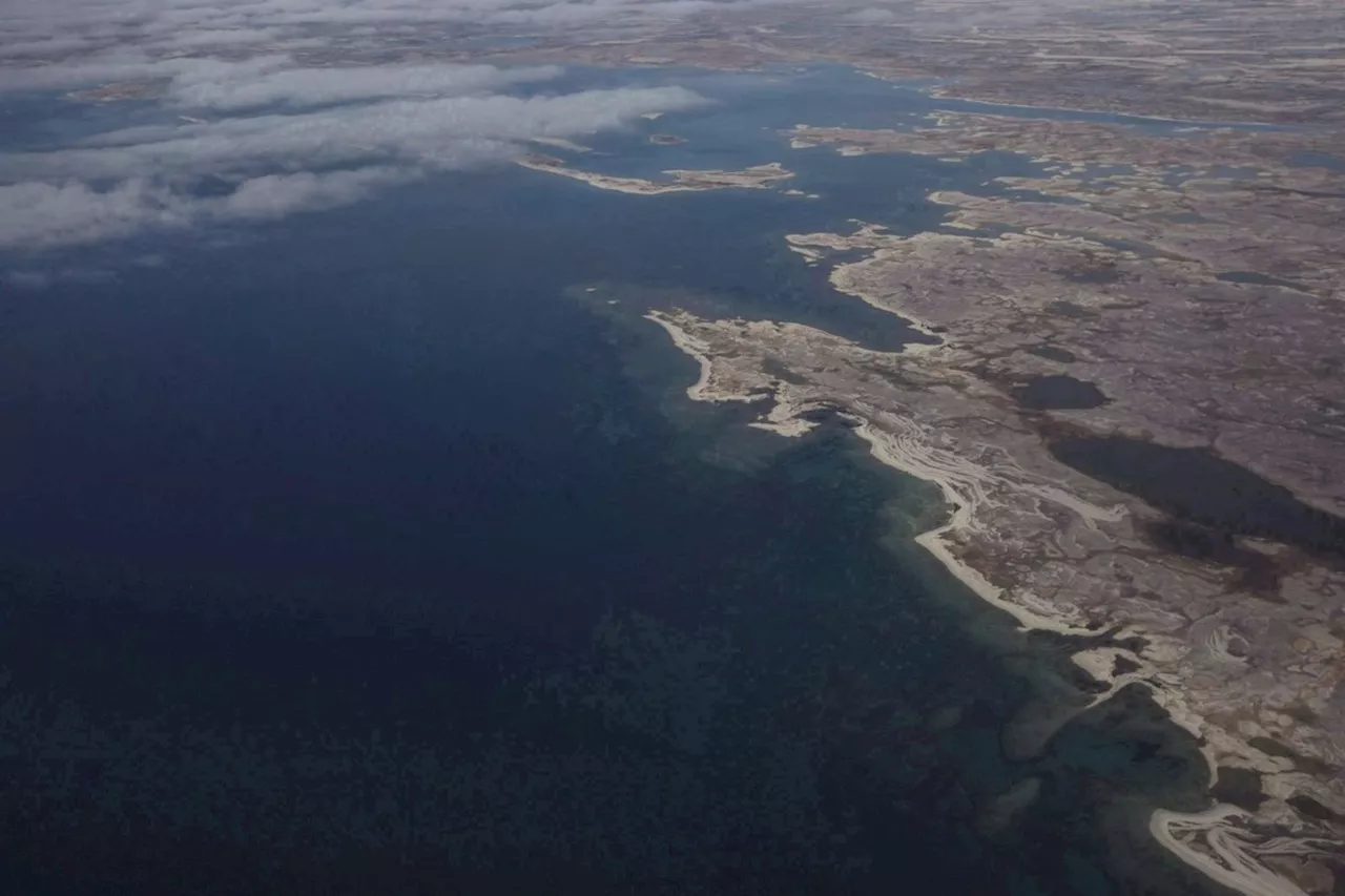 Scientists use DNA to identify bones, find descendants of Franklin expedition sailor