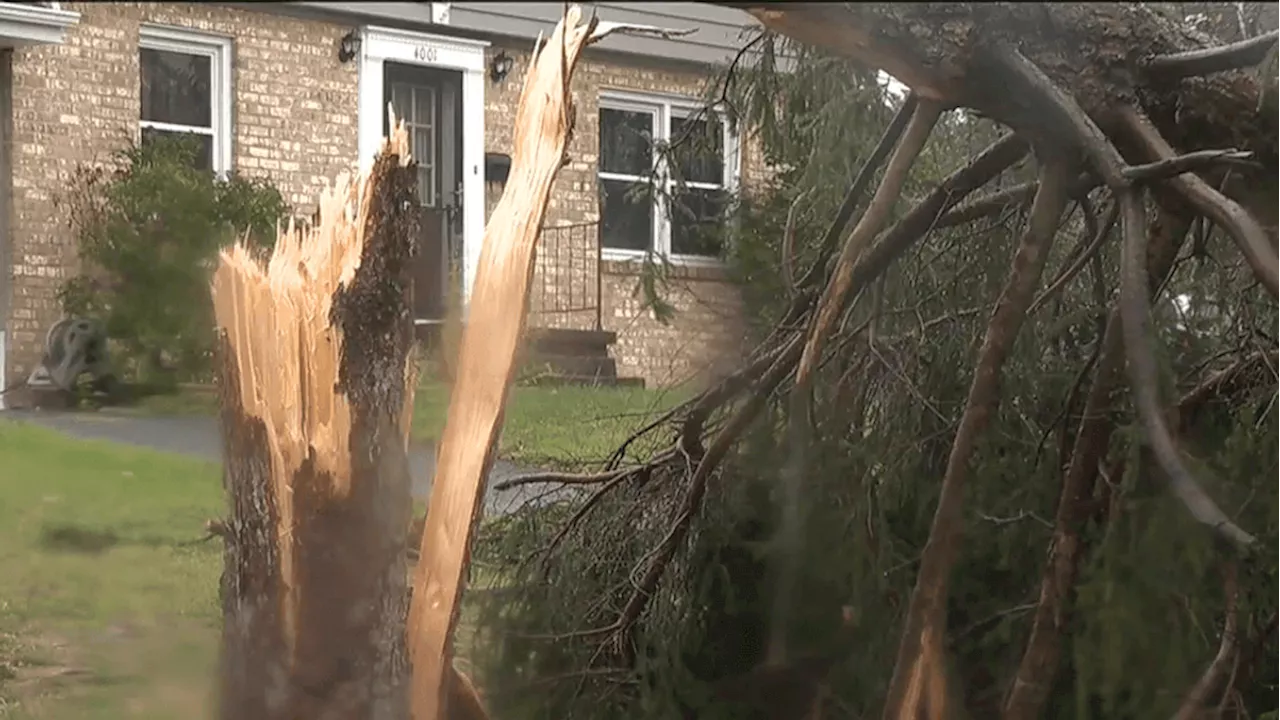 Storms rolled through Dauphin County damaging homes, cars, and displacing people.