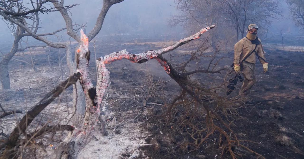 Incendios en Córdoba: la lucha contra las llamas y las fotos de las zonas mas afectadas