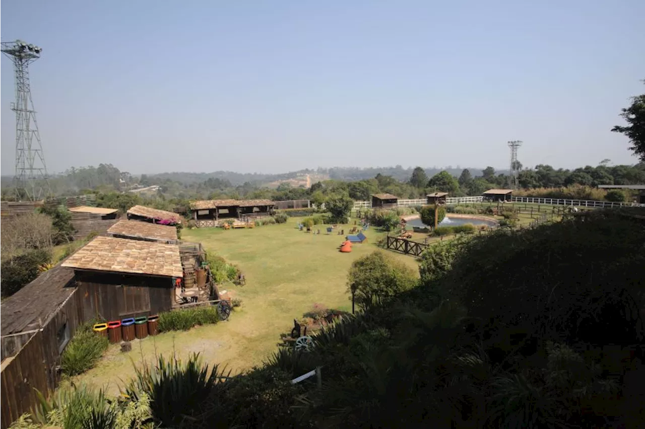 A Fazenda: veja quem são os participantes que estão na Baia após Prova de Fogo