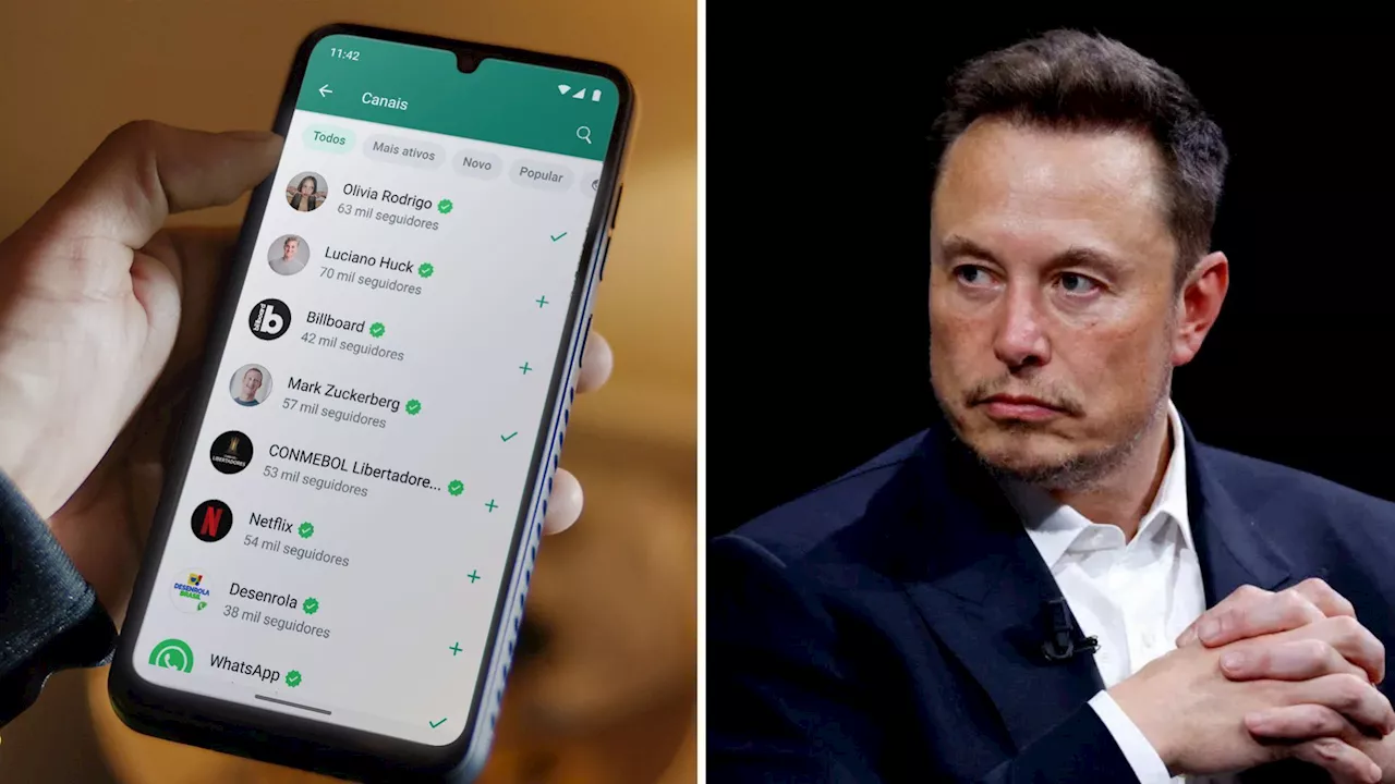 Idosa acredita estar namorando Elon Musk, cai em golpe e perde R$ 4 mil no PR