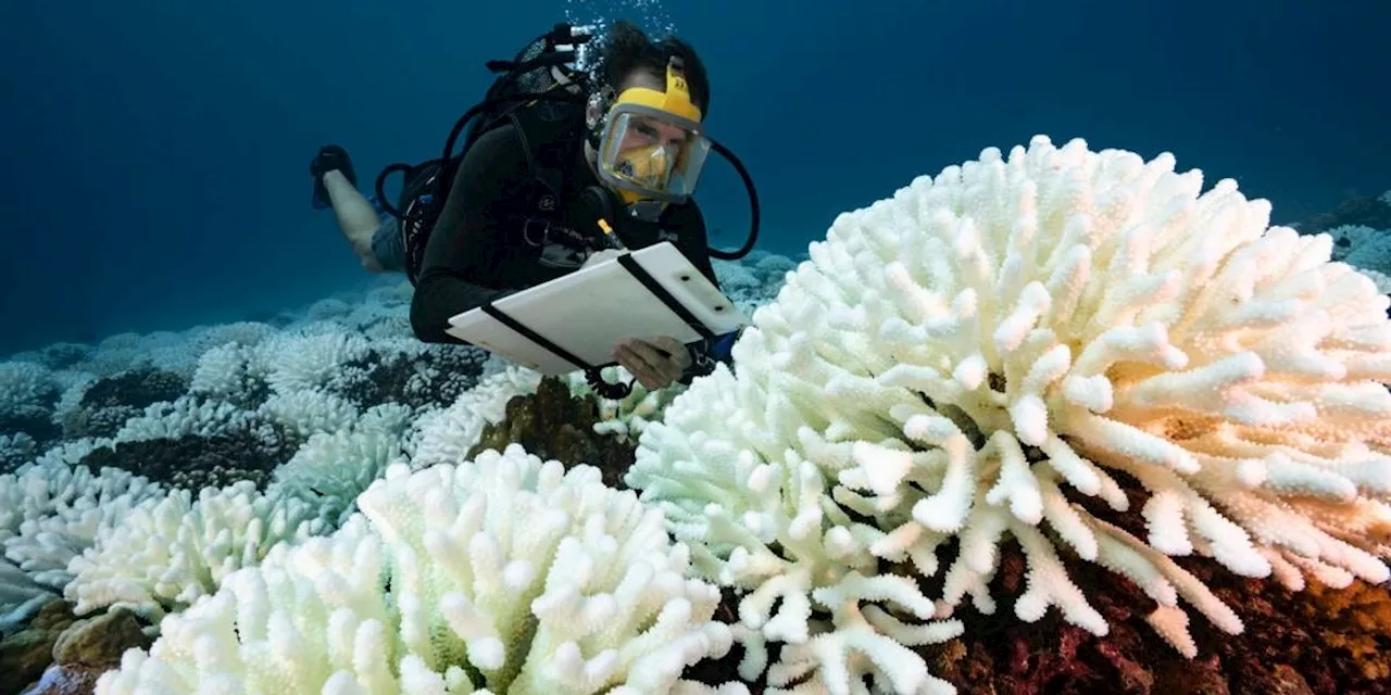 'Red Alert' as 7th of 9 Planetary Boundaries On Verge of Being Breached: Report