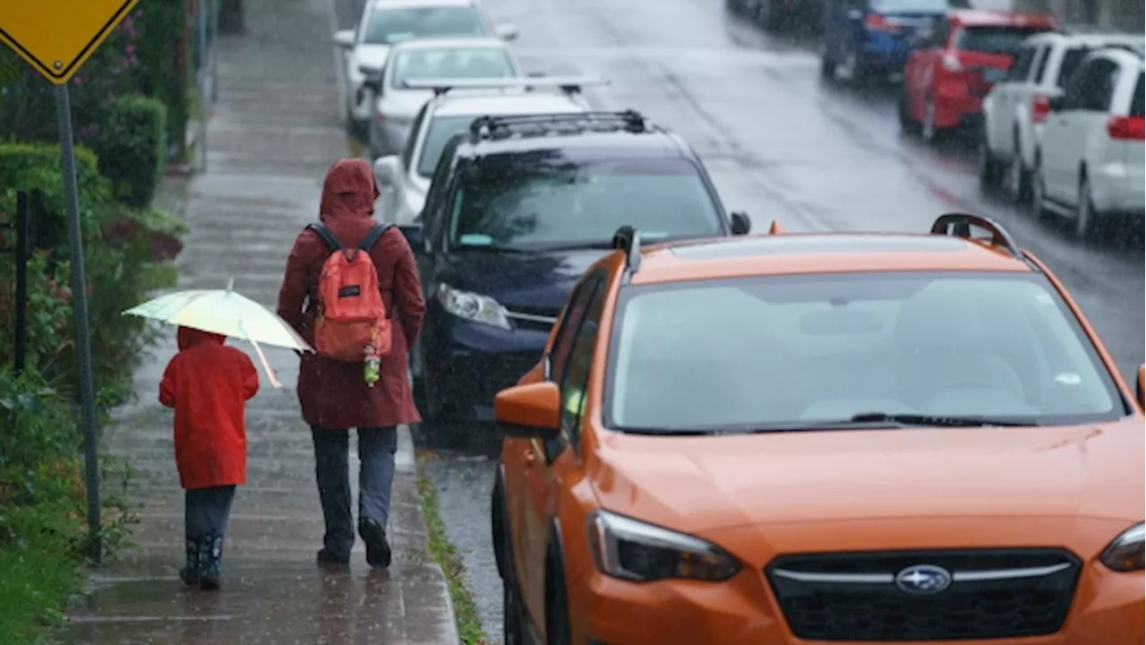 Toronto, other parts of Ontario under rainfall warning