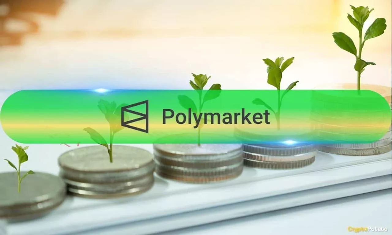 Polymarket Seeking $50M New Funding, Plans Token Launch: Report