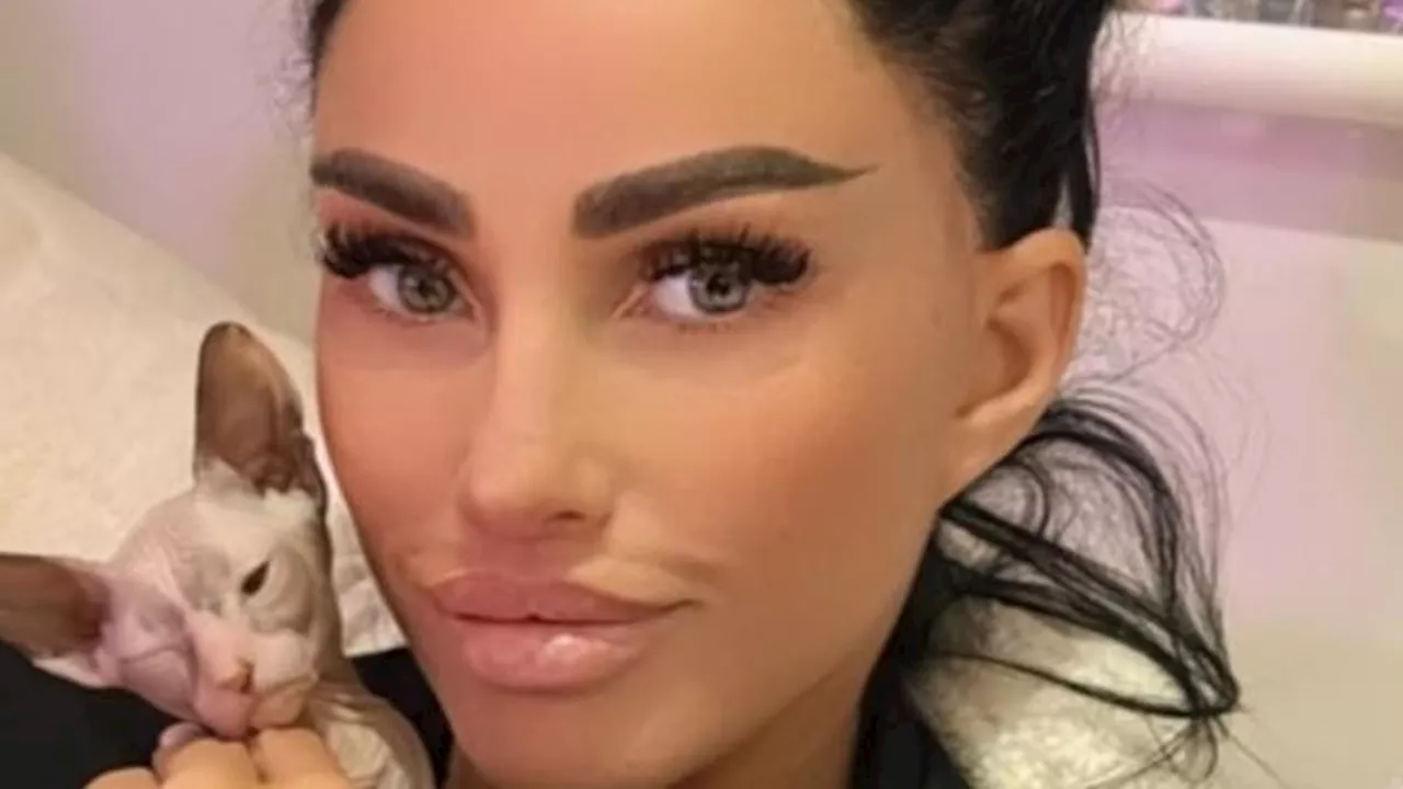 Katie Price debuts her new £800 Sphynx cat called Daisy - despite her chequered history with animals...