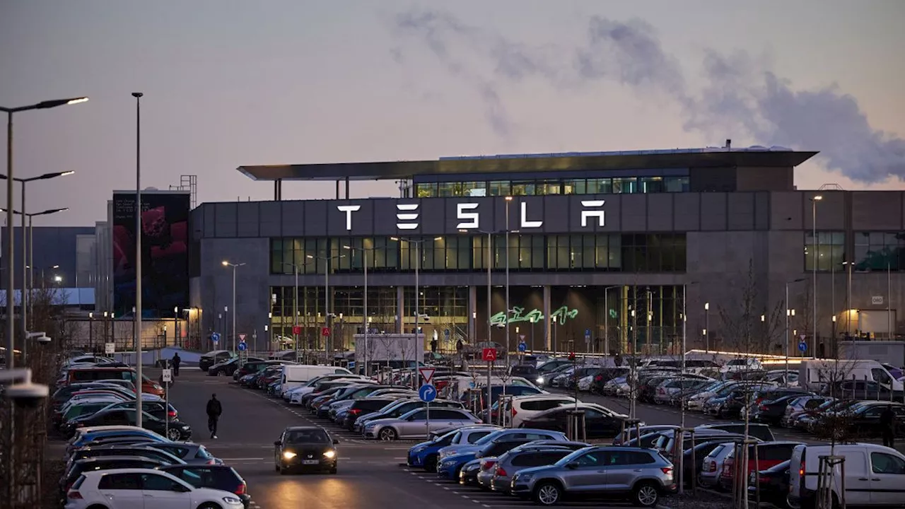 Werk in Grünheide: Tesla soll Kontrollbesuche bei krank gemeldeten Beschäftigten machen