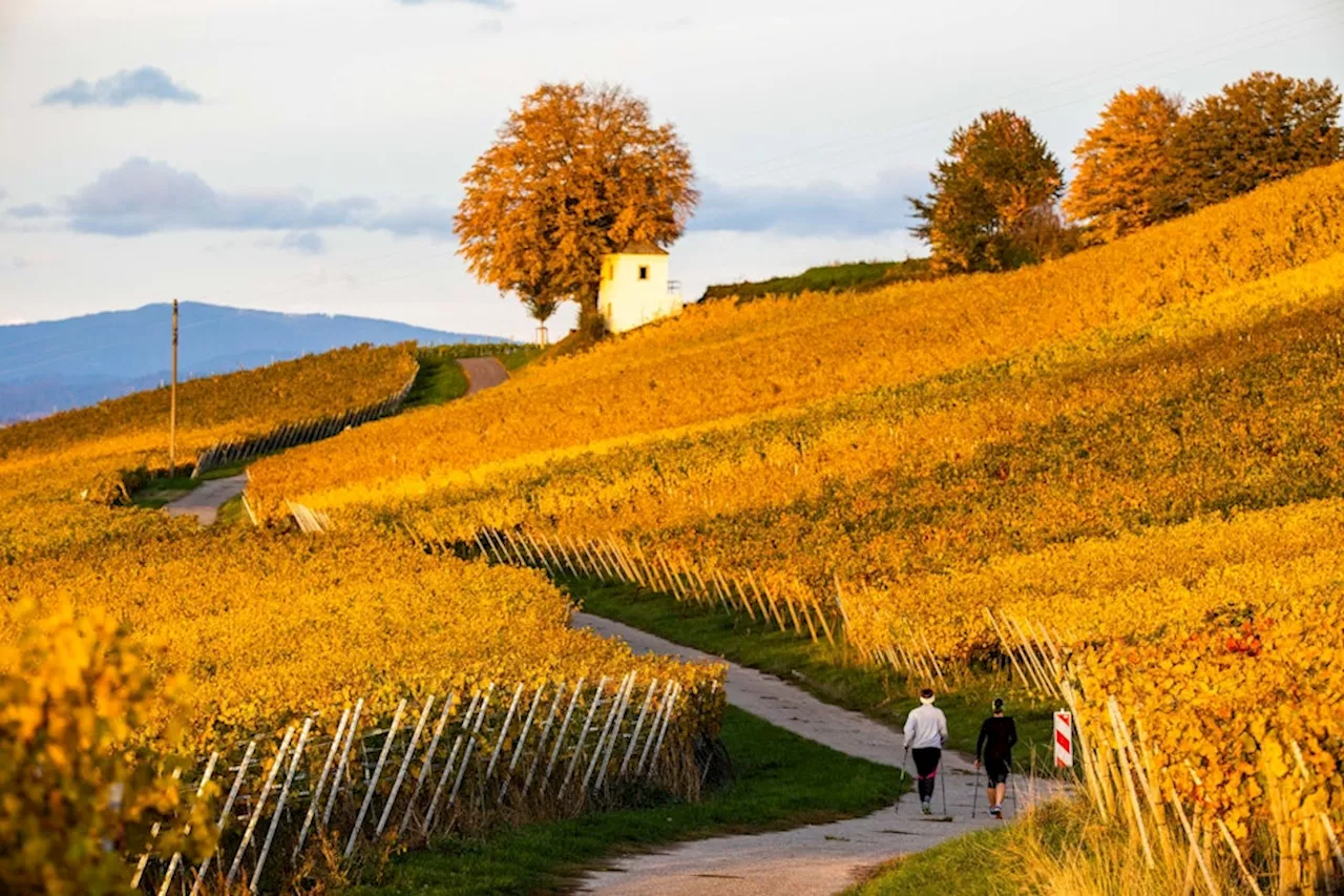 Fünf schöne Herbst-Reiseziele in Deutschland