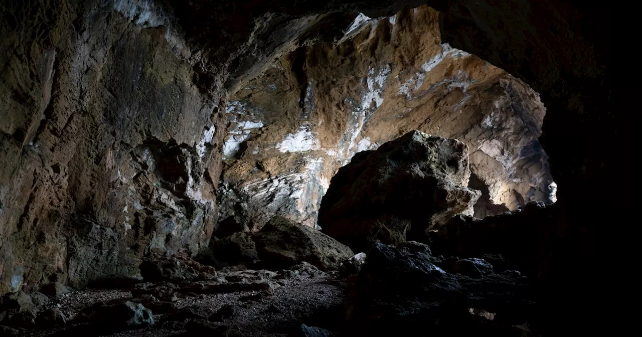 Forscher entdecken 10.000 Jahre alte DNA in südafrikanischer Höhle