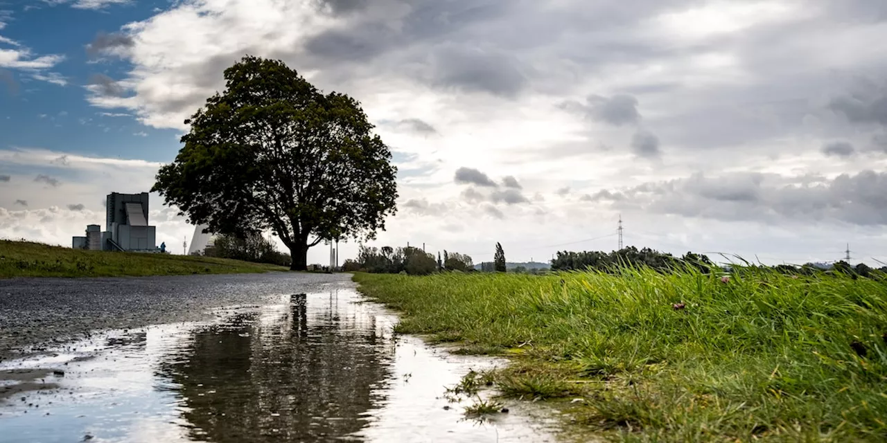 Sturm Constanze bringt ungemütliches Herbstwetter: Regen, Sturm und Kälte