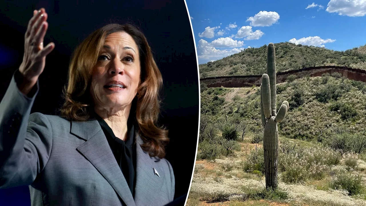 ‘Political stunt’: Critics dismiss Harris’ expected Arizona border visit as immigration remains top issue