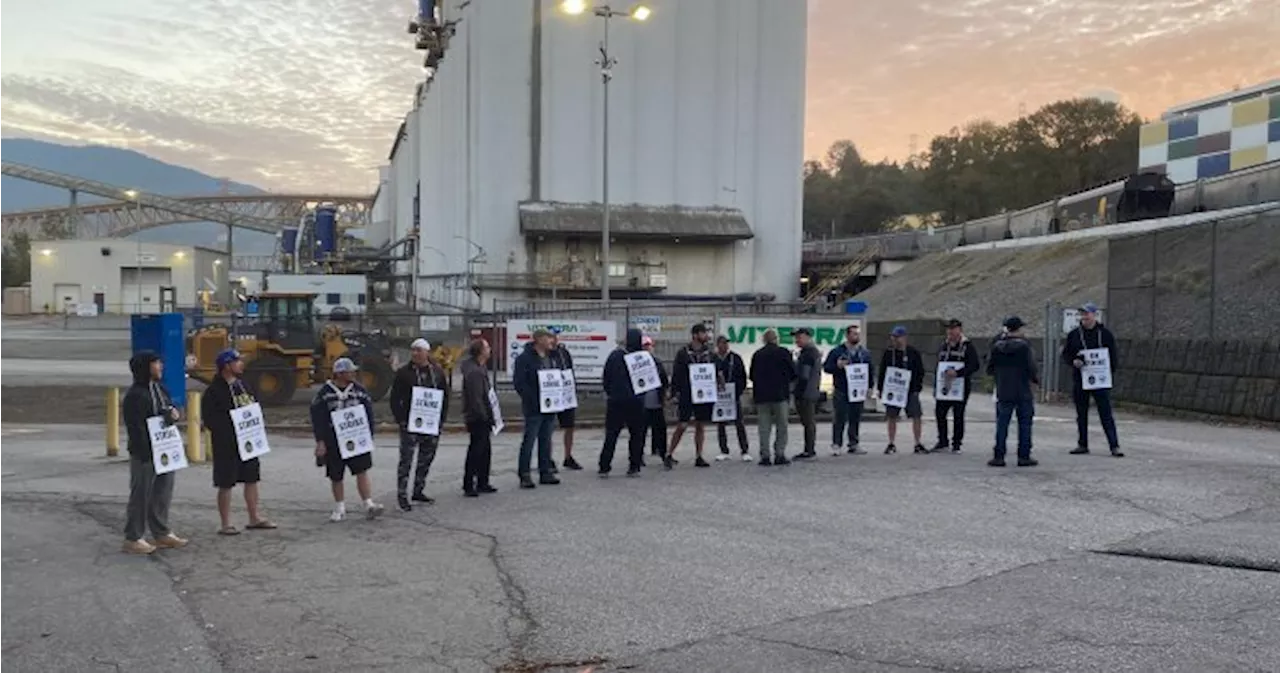 ‘It will slow everything’: Strike starts at 6 Metro Vancouver grain terminals